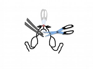 Intravital Microscopy for Imaging Subcellular Structures in Live Mice Expressing Fluorescent Proteins