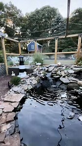 2.3K views · 41 reactions | The ultimate duck pond area transformation ✨✨ #duckpond #predatorproofing #pond #pondbuild #ourlittlecoop #farmlife #smallfarm #homesteading #homestead #ducks #minipigs #farmanimal #raisinganimals #fblifestyle | Our Little Coop | Facebook