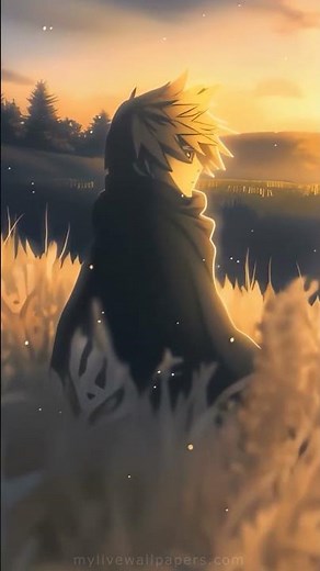 Thorfinn Mobile 4K Live Wallpaper