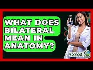 What Does Bilateral Mean In Anatomy? - Biology For Everyone