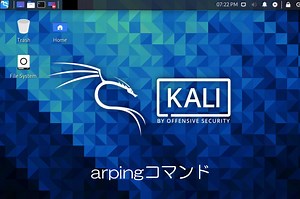 ハッカーはArpingでネットワーク上のホストを探し出す(Kali Linuxツール説明) | AIを武器にホワイトハッカーになる