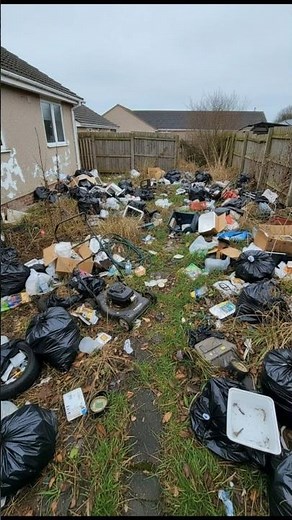 Front Yard Cleanup Timelapse — From Messy to Fresh and Clean 🌿