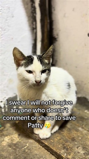 Gofundme link in bio to help me raise funds to help my babies survive #babycrying #mybaby