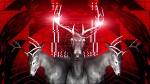 VJ Loops Pack Vol.40 - Neons Deer | LIME ART GROUP