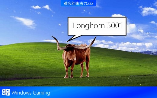 我安装了Windows Longhorn Build 5001在实体机上