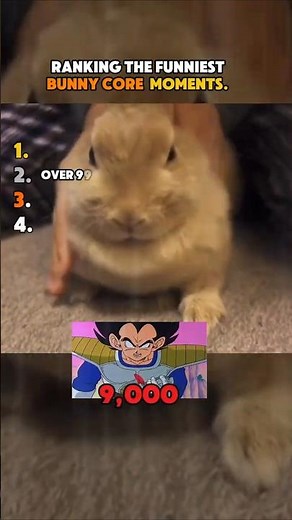 Ranking the Funniest Bunny Core Moments 🤣 (Part 8)