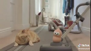 metanydysk on TikTok