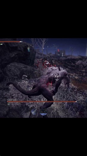 These Red Variants Are Moving Mad In The Deep Of Night | Nightreign