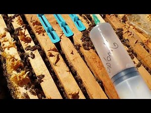 Formik Asit Uygulaması ve Sorunlu Formik Asit