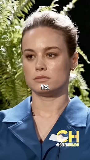 1.1M views · 9.7K reactions | Zach Galifianakis ROASTS Brie Larson  #shorts #BetweenTwoFerns #FernsAndFriends #FernsOfComedy #FernsTalkShow #FernsHumor #FernsInterviews #FernsLaughs #FernsComedy #FernsEntertainment #FernsGuests #FernsShow #FernsFunny #FernsBanter #FernsWithCelebrities #FernsInAction #FernsHumor #FernsQuips #FernsComedySkits #FernsLaughs #FernsBloopers #FernsBehindTheScenes | Between 2 Ferns Clips | Facebook