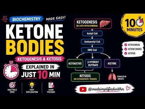 Ketone Bodies Explained in Just 10 Minutes | Ketogenesis & Ketoacidosis Made Easy MBBS Biochemistry