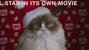 Grumpy Cat starring in Christmas movie
