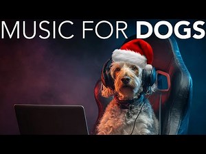 10 HOURS of Dog Christmas Music 🎅🦮 Gentle Holiday Melodies to Relax Your Dog