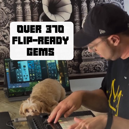 Over 370 Top-Tier Samples. One Game-Changing Pack. ✅ 100% Royalty-Free ✅ All Stems Included ✅ Perfect for Flipping Shop Now! Credit - @phillipdrummond | Reborn Sounds