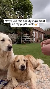 25 reactions | Get a more active dog with 50% off YuMOVE Joint Care...