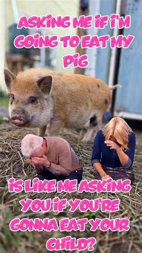 1.3K views · 59 reactions | Francis Bacon is my baby, not my lunch #pig #piglet #misfitfamilyfarms #dreamteam #BarnyardShenanigans #CuteButChaotic #FarmLife #AnimalFriends #FarmFam #FarmhouseLaughs #FamilyFarms #ViralVideo #FYP #FYPシ #WatchThis #ForYou #TrendingNow #CountryLife #BarnLife #FarmHumor #RuralRomance | Alicia Jacobson | Facebook