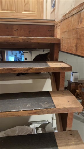 nikolaus (@fatkidfromwizardmovie)’s videos with Bouncy meepcity - Meep