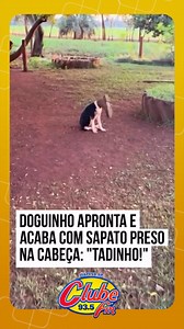 386K views · 6.1K reactions | Noemi Oliveira arrancou risadas da...