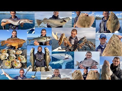 UK Fishing at its best!!! | The Fish Locker - Shore fishing Boat fishing Saltwater fishing