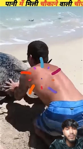 The most unique things that happened in the sea that will surprise you#viral#facts