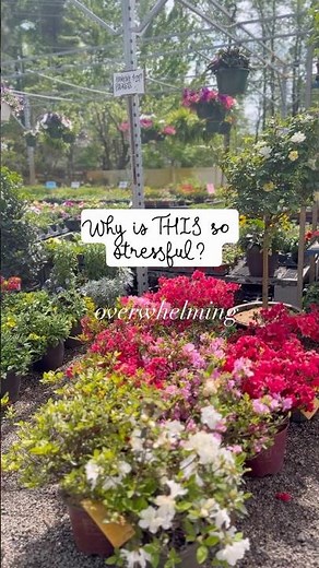 Beginner Planter Tips | Thriller, Filler, Spiller Explained