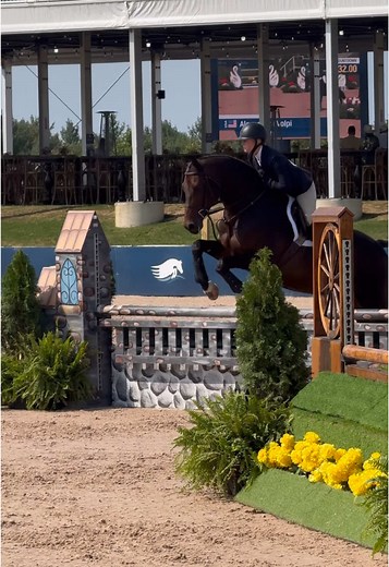 Junior Hunter's First Equitation Round: A Flawless Start