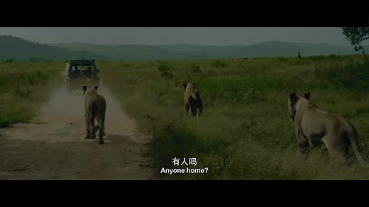 Wolf Warrior 2 (2017)