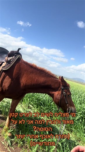 הסרטונים של Dikla Levi (@dikla.levi) עם Latin-style guitar that feels melancholy, rush, run(1396879) - SUNNY HOOD STUDIO