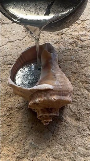 Pouring molten aluminum into seashells and the result is INSANE #metalworking #satisfying #shorts