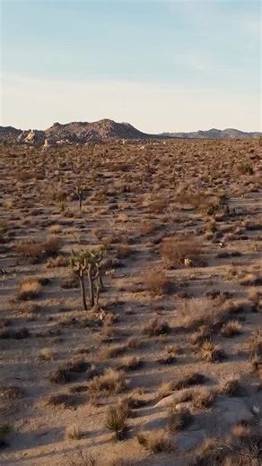 10K views · 30 reactions |  Meet the All-New Traveler Summit! Big...