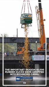 297K views · 698 reactions | 閭閭閭How cool is this?! Watch as 18,000 ducks are plopped into the canal next to Brown's Island. The RVA Duck Race and Festival of Inclusion, Richmond’s largest sensory-friendly festival, benefit the Autism Society of Central Virginia. 閭閭閭 | WTVR CBS 6 News | Facebook