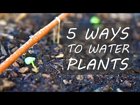 5 Ways to Water Plants from In-Ground Sprinklers