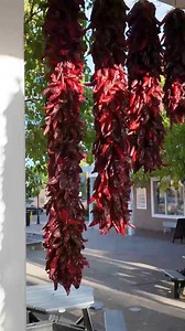 New vlog OUT NOW‼️ #NewMexicoCulture | Johnny James