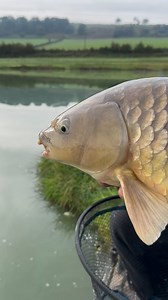 6.1K views · 681 reactions | What a BEAUTY!!  #prestoninnovations #matchfishing #polefishing #fishinglife #fishingtips | Preston Innovations | Facebook