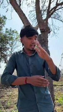 "Building Wooden Log Cabin in Forest 🌲🔥 | Survival House Step by Step"🎉