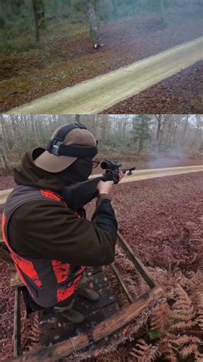 SHOT A ROEDEER ! TIR D'UN CHEVREUIL ! SHOTKAM #chasse #hunting #hunt