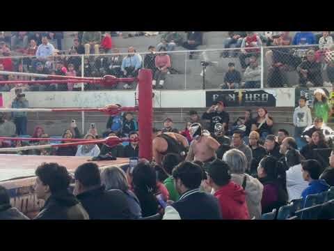 Lucha Bull Terry De La Tarde Turok Jr🆚Único Jr