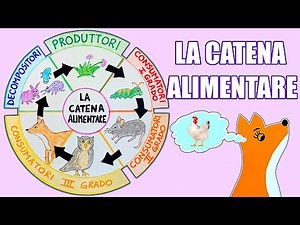 🌱🐛🐁🦉🦊🦠🌱 La CATENA ALIMENTARE - Lezione di SCIENZE per la Scuola Primaria con SCHEMA INTERATTIVO 📝🤓)