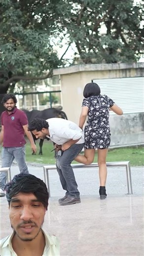A disabled duckling helps his cat friend🐥#DuckRescue #CuteAnimal #AnimalRescue 00126