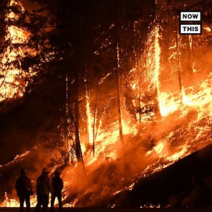 5.9M views · 34K reactions | This is what it's like to be one of the 14,000 firefighters working for months at a time to stop California's historic wildfires | NowThis | Facebook