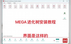 mega进化树各种版本下载，安装教程