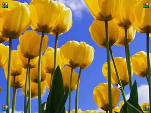 Learn free html web design course in urdu and hidni by it-hungama Part 9