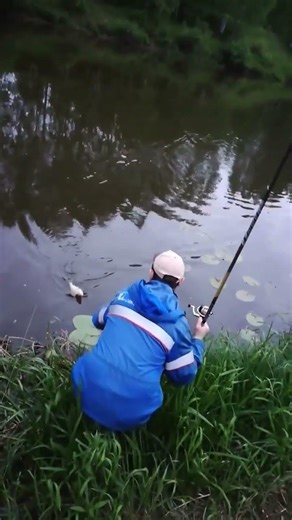 0.1 leash Bream per Kilo