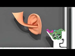 Particle Simulation #93 : Spam