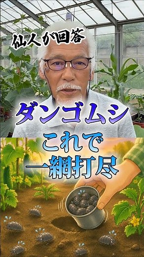 ダンゴムシ、これで一網打尽