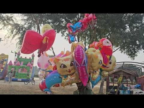 New Helium Animal Balloons 🎈🐍🐒🐬🐱 | Gas Balloon Fun