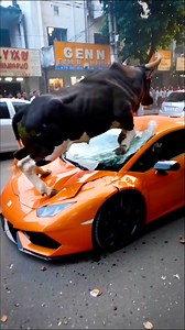 My dream car didn't even last a day 😰💔 #fail #shocking | Lessons Learned In Life