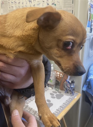 Video: Good Homes Need 12/11/25