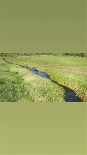 1.2K views · 69 reactions | so, it’s the end of May: this means i’m...