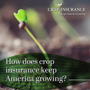 14K views · 1.6K reactions | Crop Insurance Keeps America Growing on Reels | Facebook